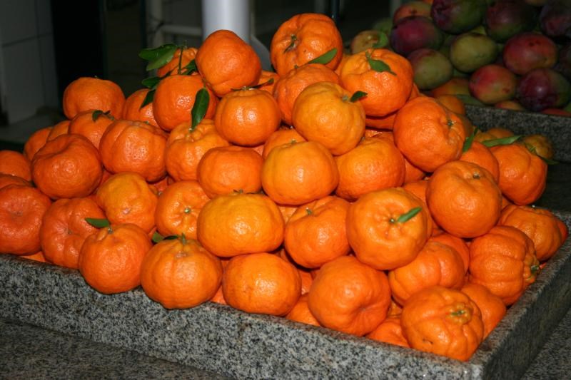 Região Serrana concentra quase 77% da produção de tangerina do Espírito Santo